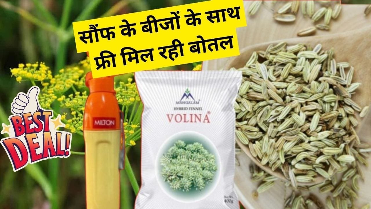 सौंफ के बीजों के साथ फ्री मिल रही बोतल