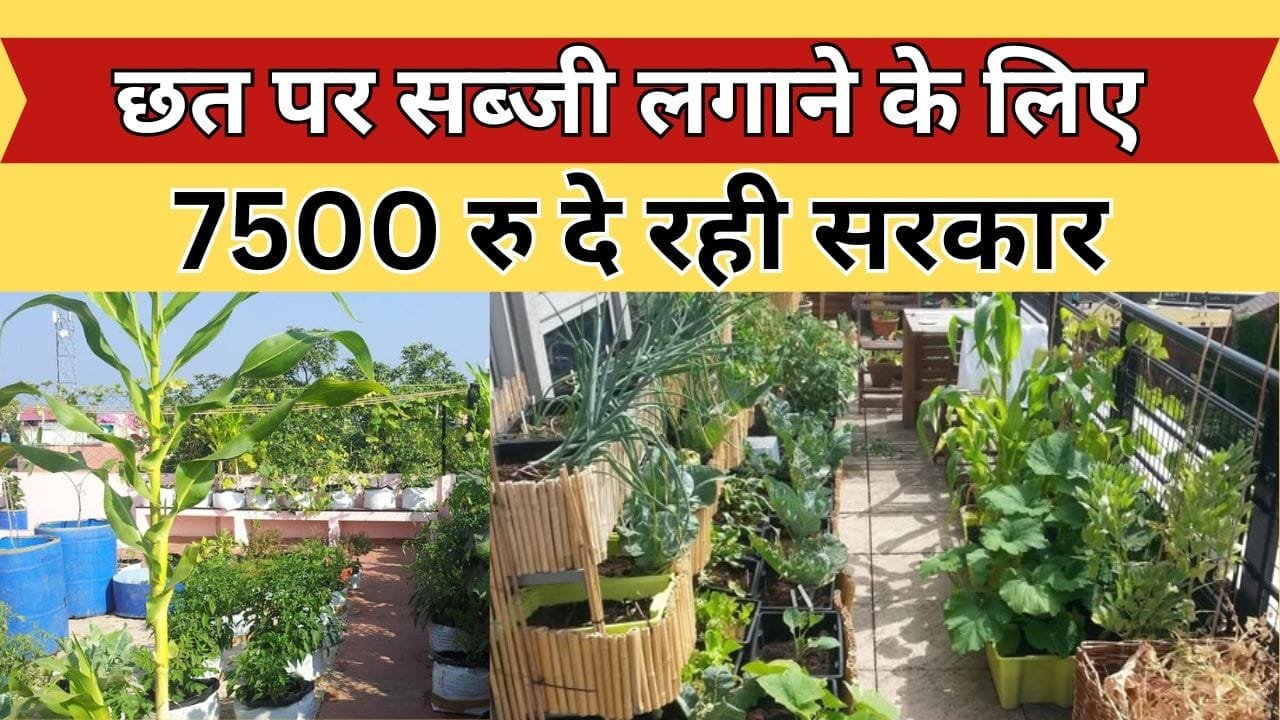 Chhat Par Bagwani Yojana