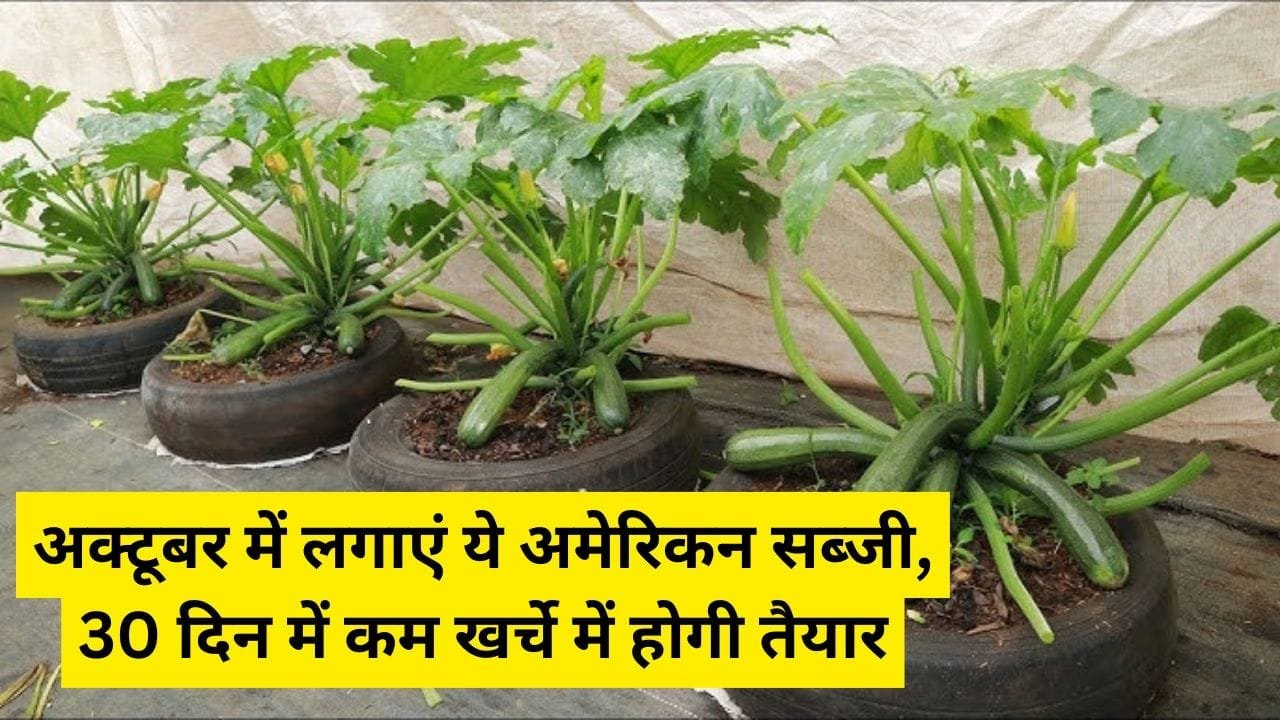 Gardening Tips