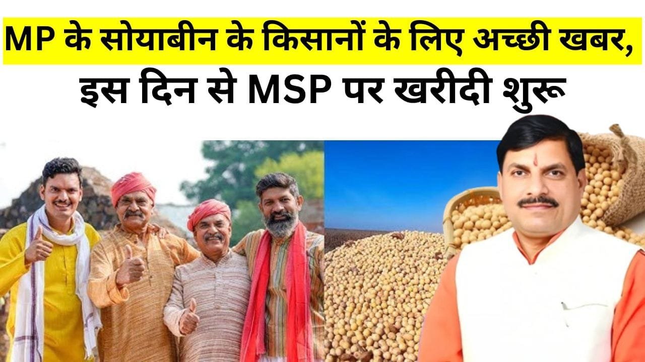 MP के सोयाबीन के किसानों के लिए अच्छी खबर