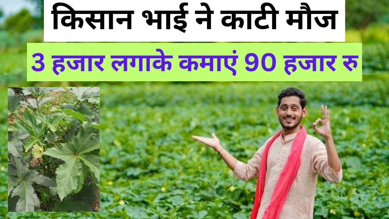 इस सब्जी खेती एक बार करें 2 महीने में ताबड़तोड़ कमाई होगी
