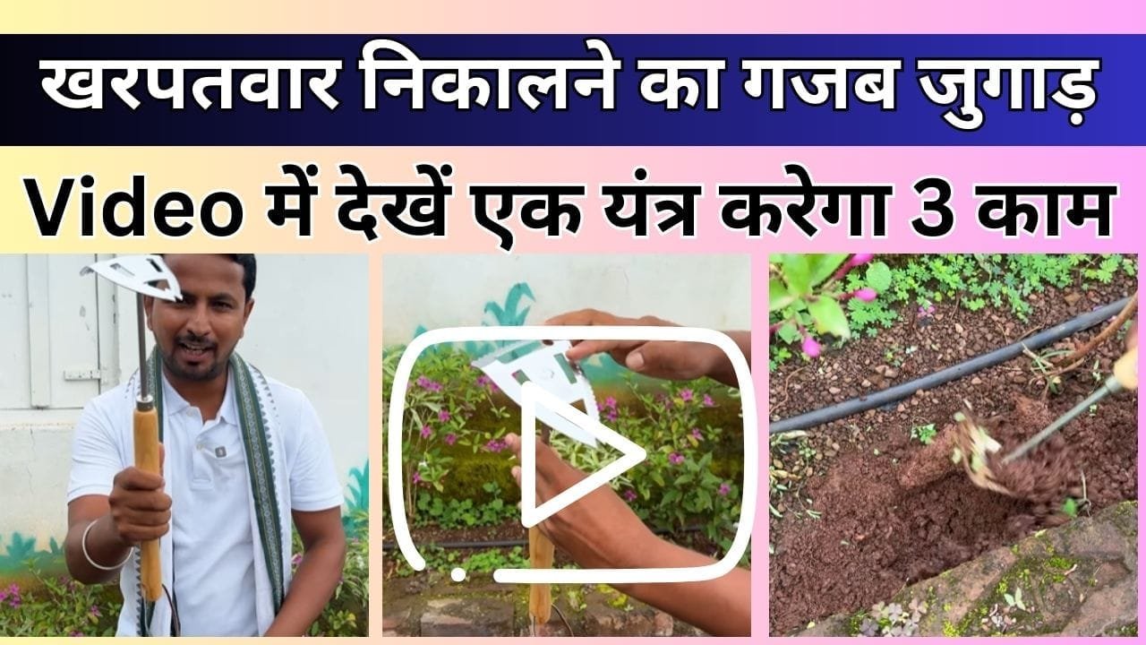 खरपतवार निकालने का गजब जुगाड़