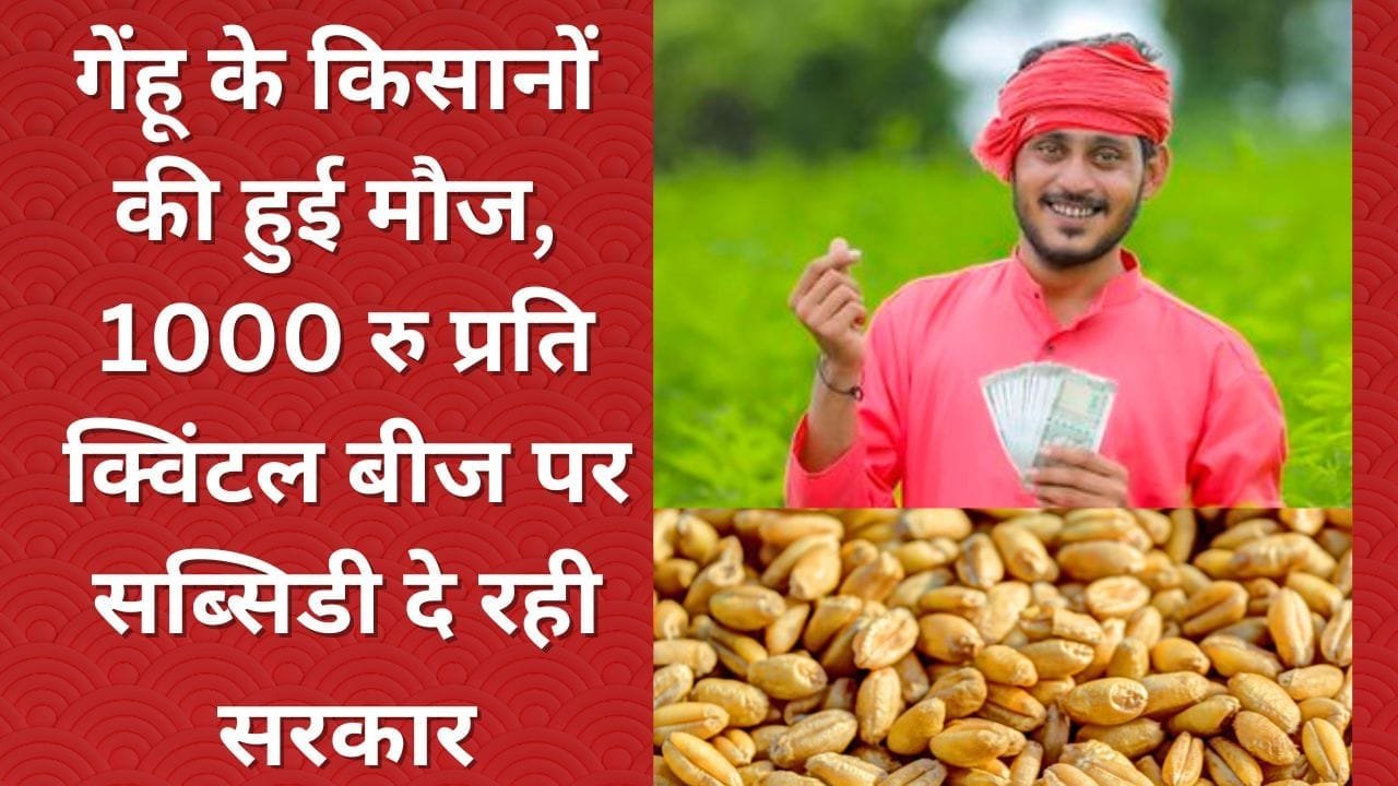 1 हजार रु प्रति क्विंटल बीज पर सब्सिडी