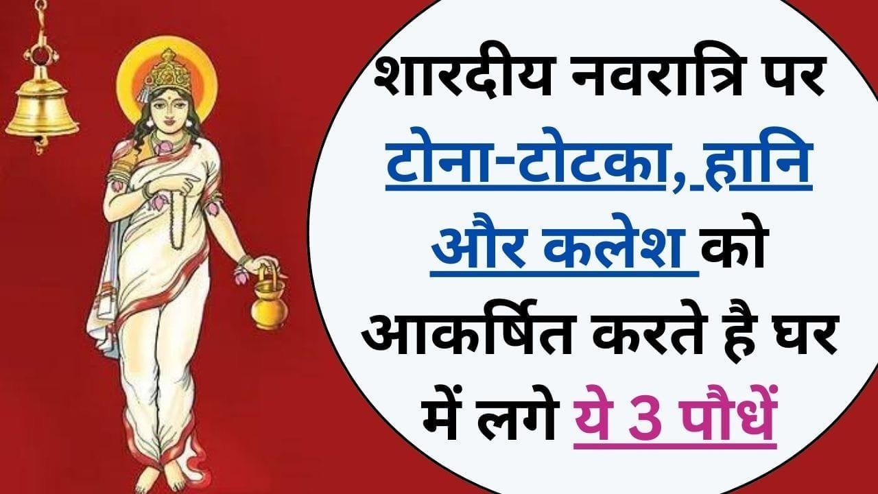 शारदीय नवरात्रि पर टोना-टोटका, हानि और कलेश को आकर्षित करते है घर में लगे ये 3 पौधें