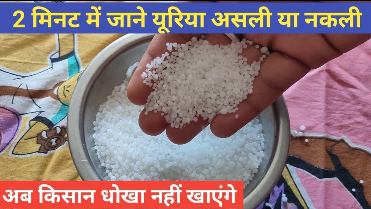 किसान ऐसे करें नकली यूरिया की पहचान