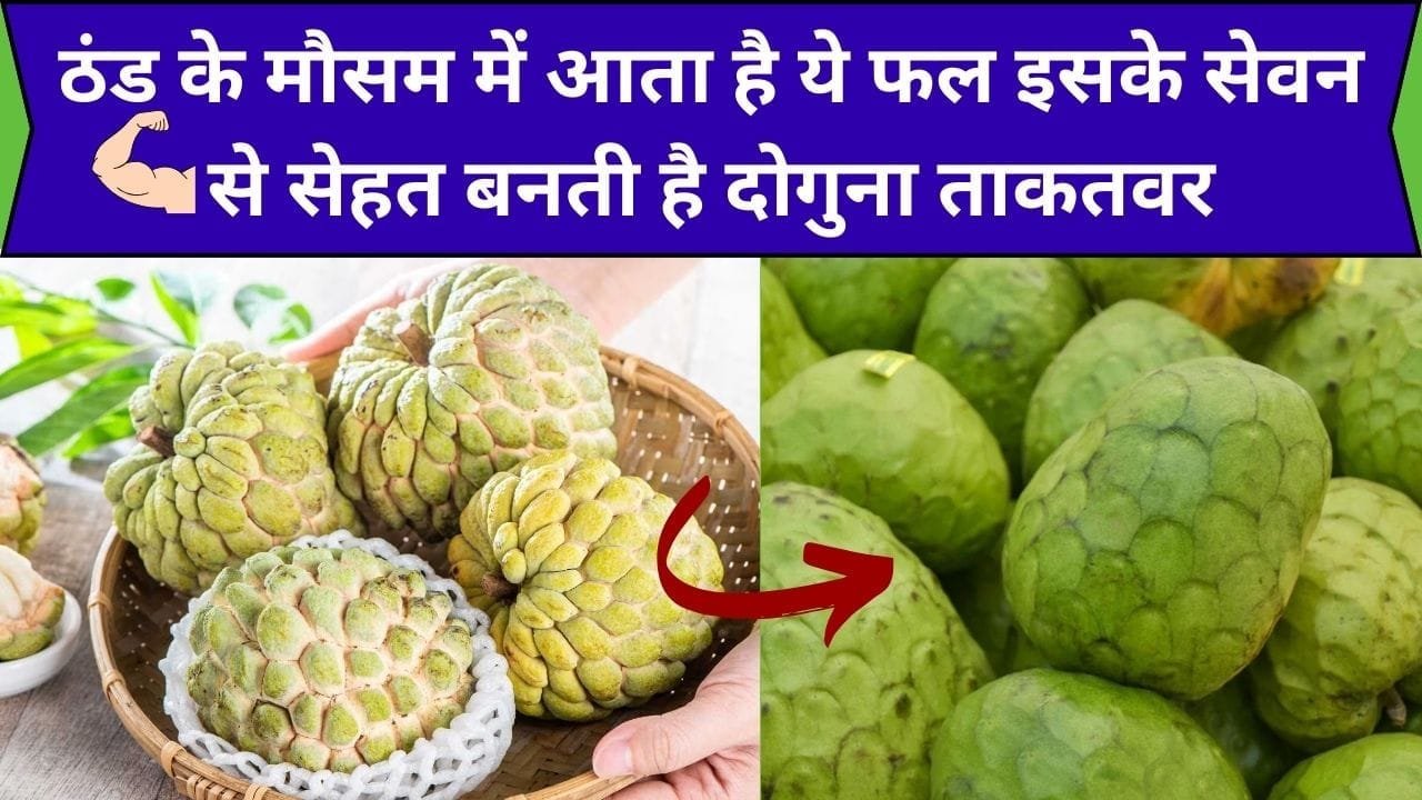 ठंड के मौसम में आता है ये फल, आते ही बाजार में मचा देता है तहलका इसके सेवन से सेहत बनती है दोगुना ताकतवर, जाने नाम और काम