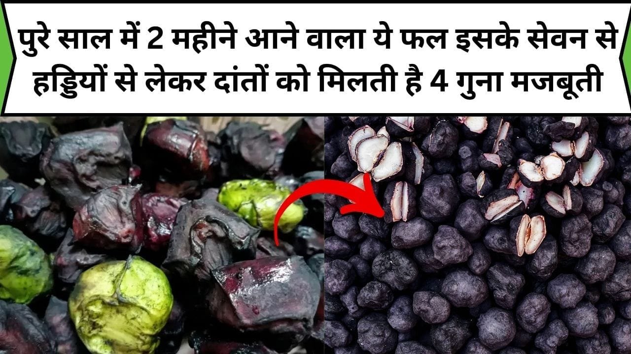 पुरे साल में केवल 2 महीने आने वाला ये फल, इसके सेवन से हड्डियों से लेकर दांतों को मिलती है 4 गुना मजबूती, जाने नाम और काम