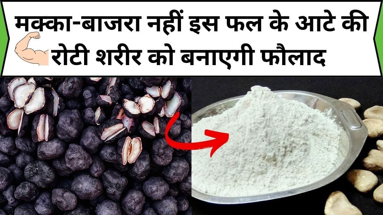 मक्का-बाजरा नहीं इस फल के आटे की रोटी शरीर को बनाएगी फौलाद, डाइट में करें शामिल 1 महीने में देखेंगे सेहत में लाभ, जाने नाम और काम