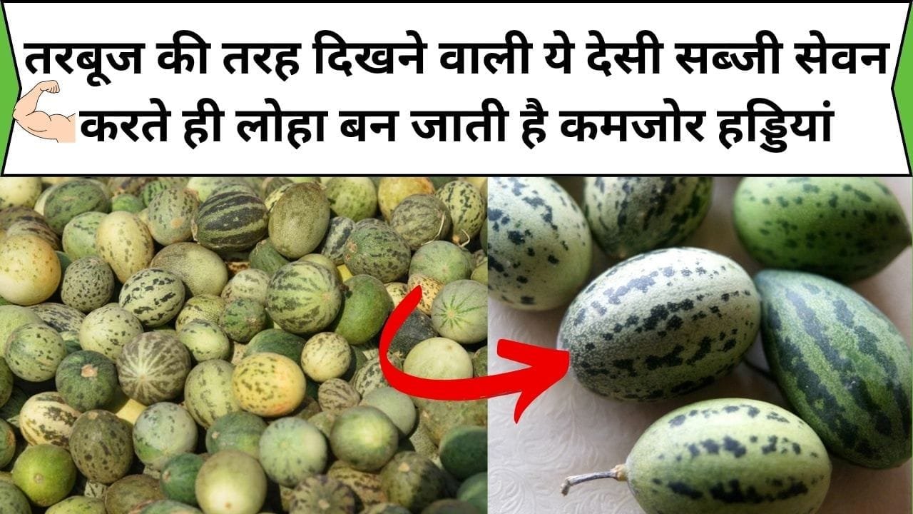 10 रु में झोलाभर के मिल जाती है तरबूज की तरह दिखने वाली ये देसी सब्जी, सेवन करते ही लोहा बन जाती है कमजोर हड्डियां, जाने कौन-सी सब्जी है