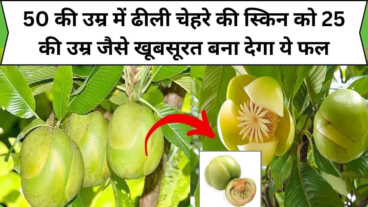 50 की उम्र में ढीली चेहरे की स्किन को 25 की उम्र जैसे खूबसूरत बना देगा ये फल, चेहरे पर आएगा ऐसा निखार की सब पूछेंगे खूबसूरती का राज