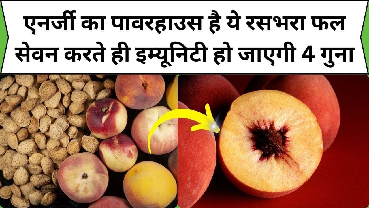 एनर्जी का पावरहाउस है ये रसभरा फल, सेवन करते ही इम्यूनिटी हो जाएगी 4 गुना, सेहत में दिखेंगे गजब के चौंकाने वाले फायदे, जाने नाम और काम