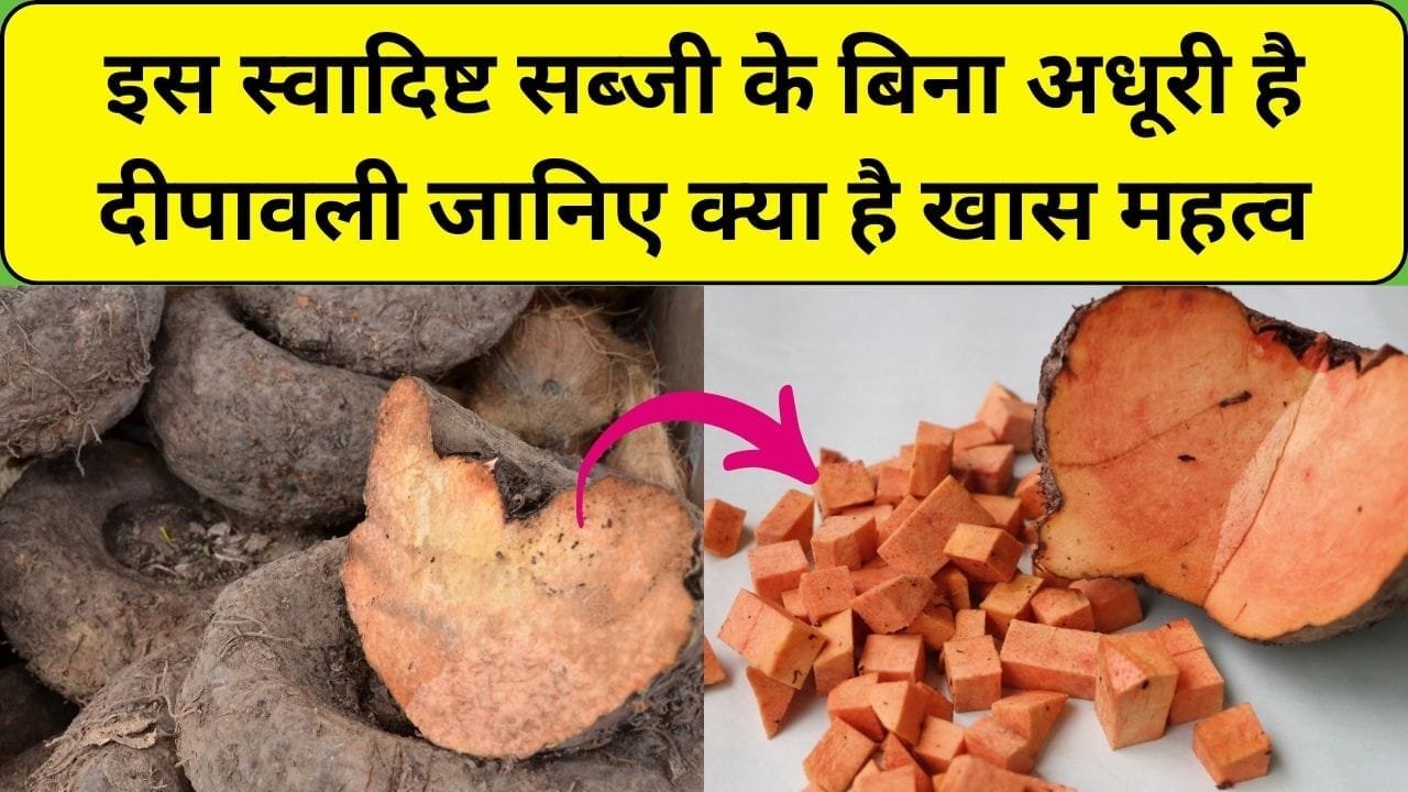 इस स्वादिष्ट सब्जी के बिना अधूरी है दीपावली, सेवन करने से मिलेंगे गजब के चौका देने वाले फायदे, जानिए इस सब्जी का खास महत्व