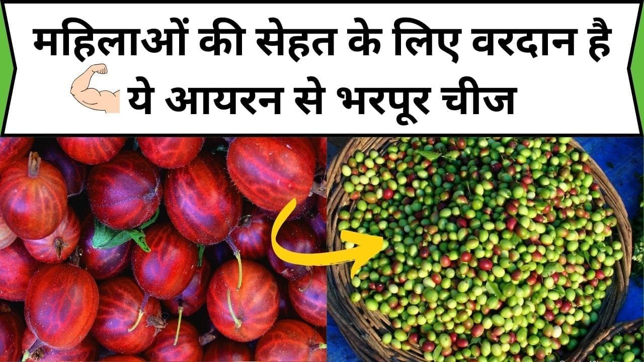 महिलाओं के लिए वरदान है ये आयरन से भरपूर चीज, सेवन करते ही शरीर को मिलती है 2 गुना ताकत, सब्जी और फल दोनों का करता है काम, जाने नाम