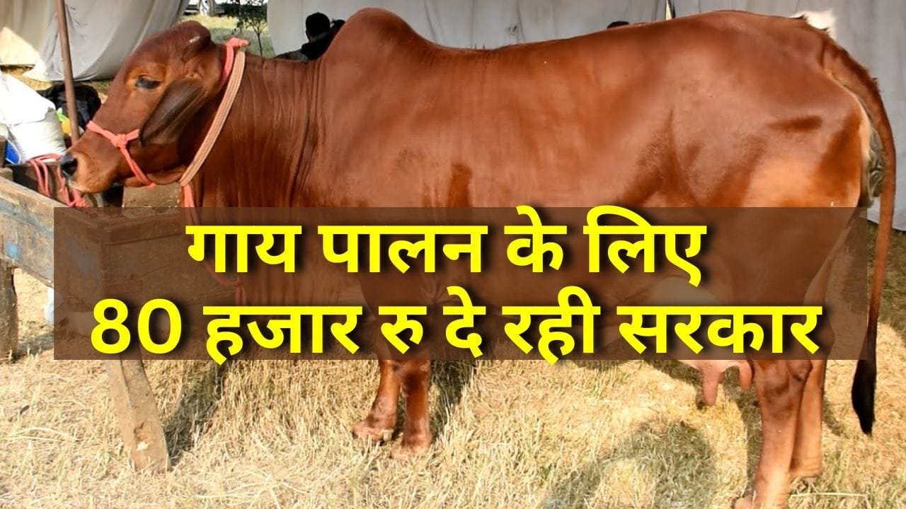 Swadeshi Gau Samvardhan Yojana