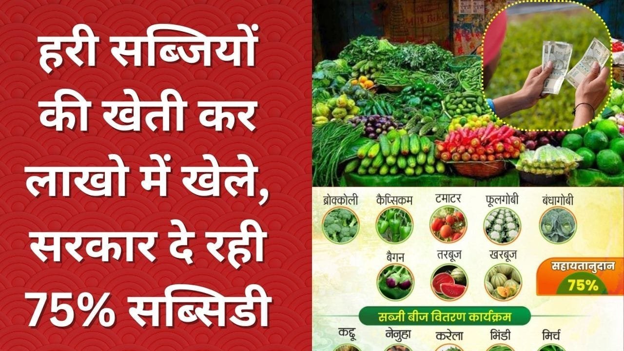 सरकार दे रही 75% सब्सिडी