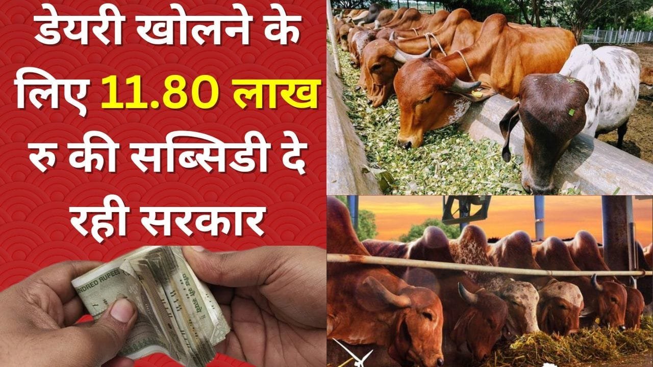 डेयरी खोलने के लिए 11.80 लाख रु की सब्सिडी