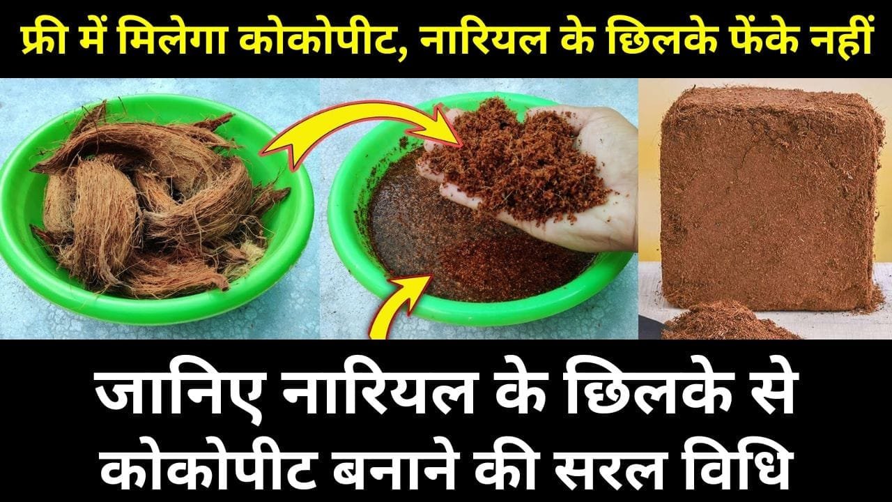 जाने नारियल के छिलके से कोकोपीट बनाने की सरल विधि