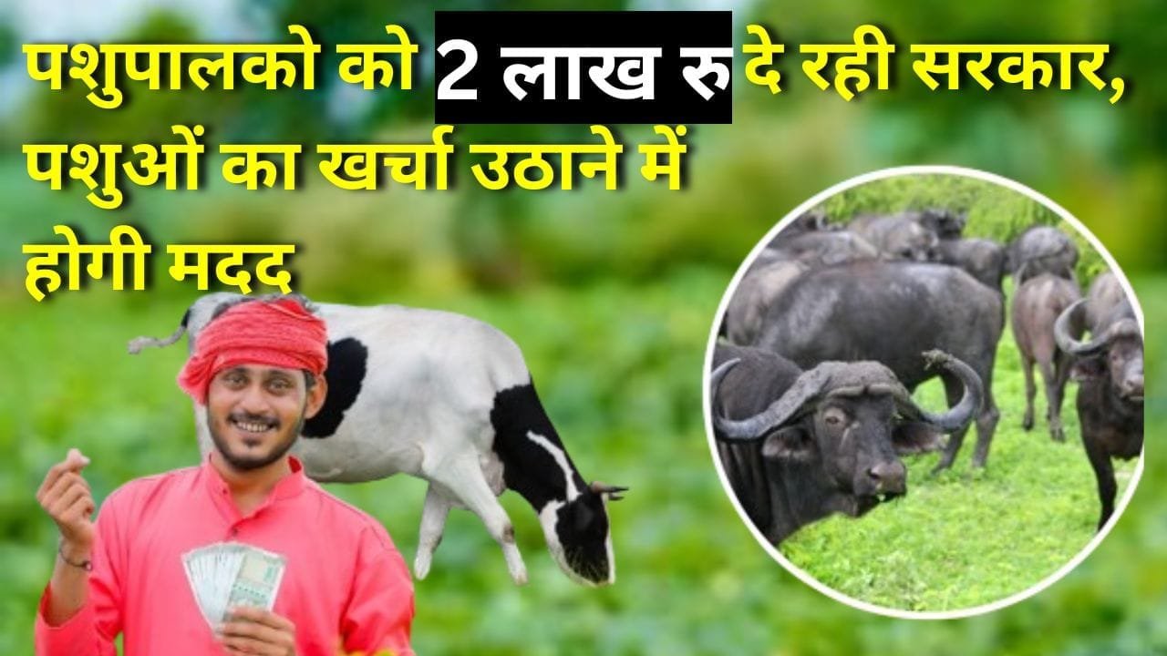 पशुपालको को 2 लाख रु दे रही सरकार, पशुओं का खर्चा उठाने में होगी मदद