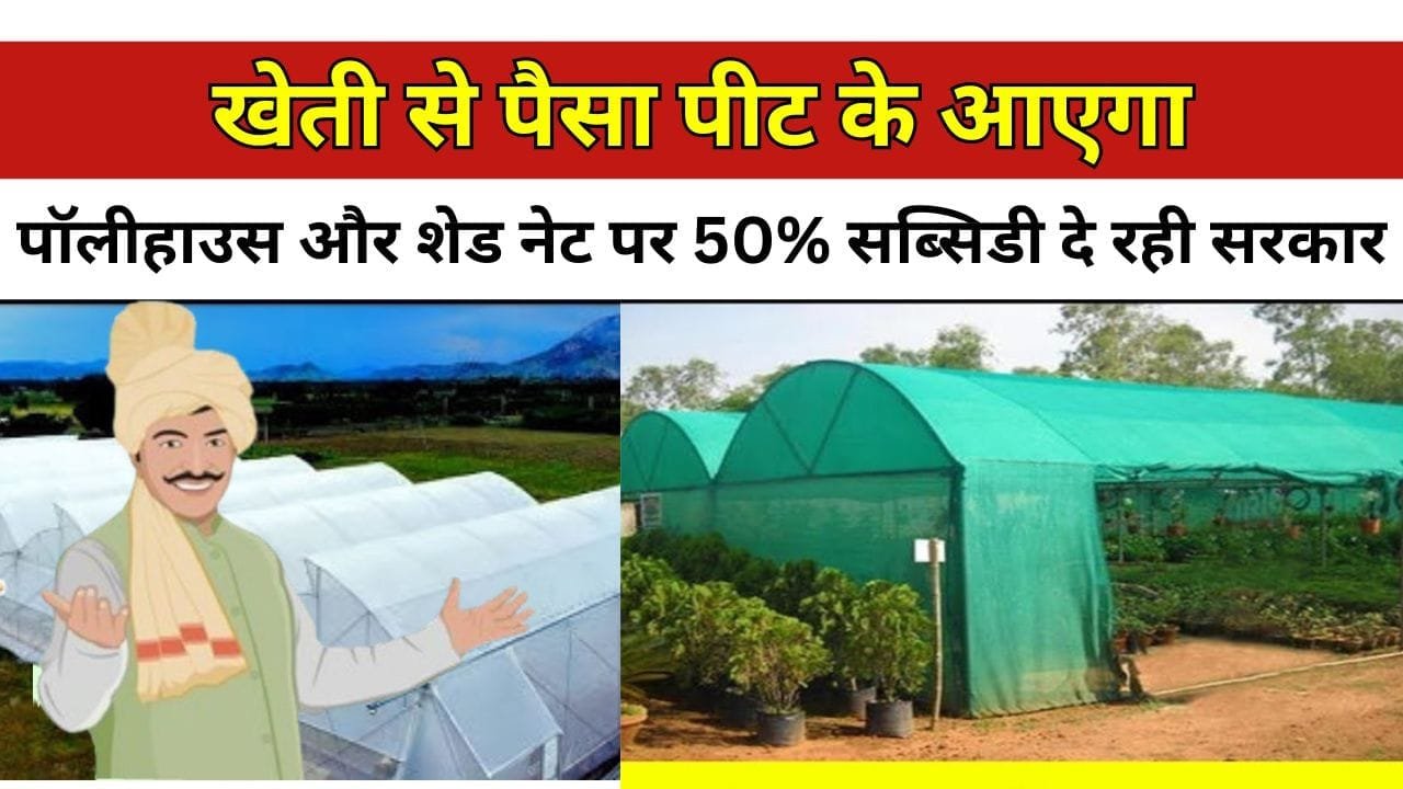 पॉलीहाउस और शेड नेट पर 50% सब्सिडी दे रही सरकार