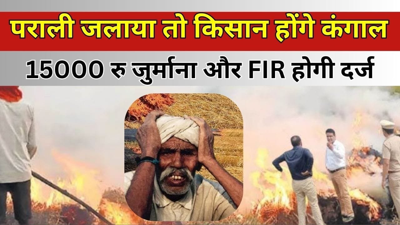 पराली जलाया तो किसान होंगे कंगाल