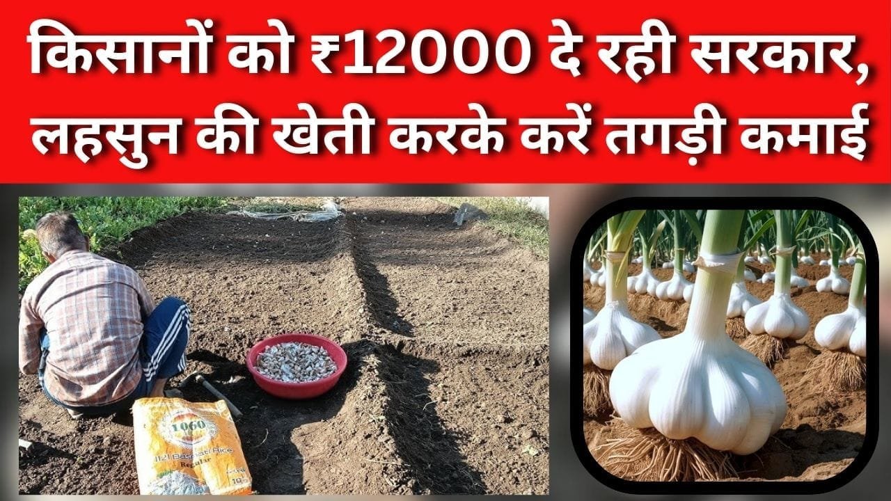 किसानों को ₹12000 दे रही सरकार