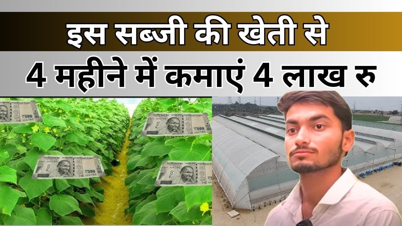 इस सब्जी की खेती से किसान ने किया नाम रोशन