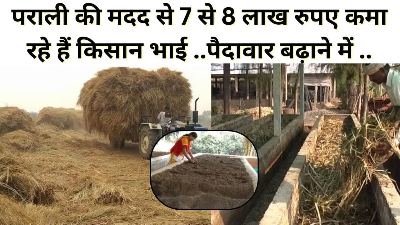 पराली की मदद से 7 से 8 लाख रुपए कमा रहे हैं किसान भाई