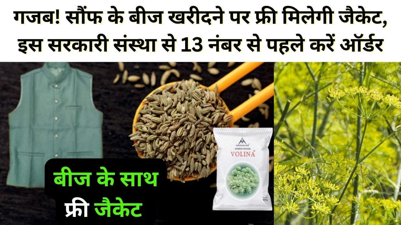 सौंफ के बीज खरीदने पर फ्री मिलेगी जैकेट