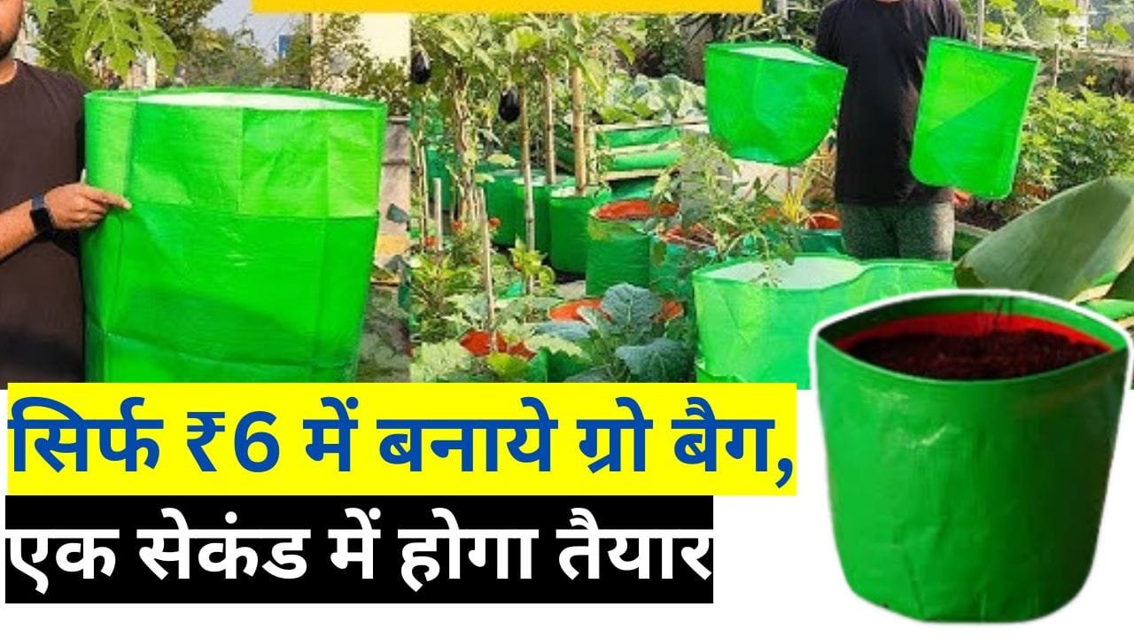 सिर्फ ₹6 में बनाये ग्रो बैग, एक सेकंड में होगा तैयार