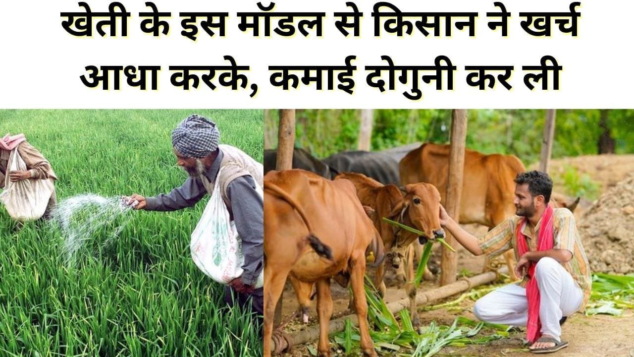 नेचुरल फार्मिंग