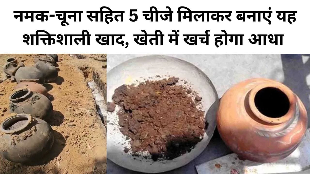 नमक-चूना सहित 5 चीजे मिलाकर बनाएं यह शक्तिशाली खाद