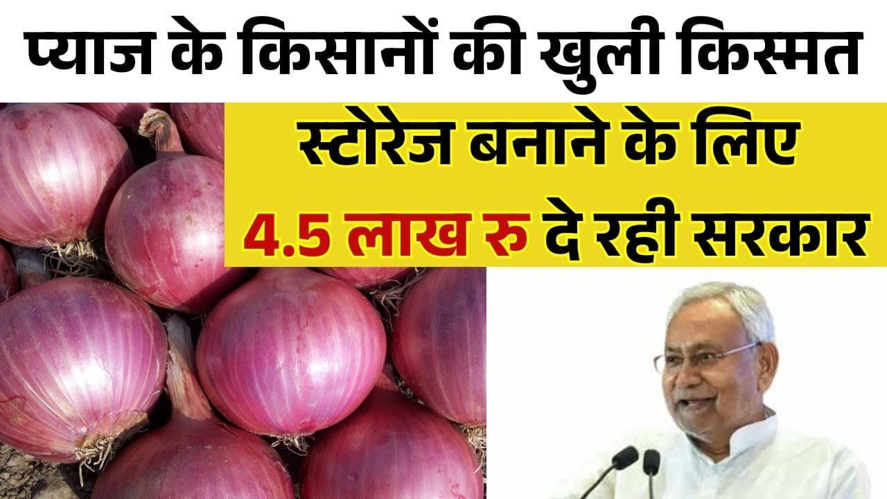 स्टोरेज बनाने के लिए 4.5 लाख रु दे रही सरकार