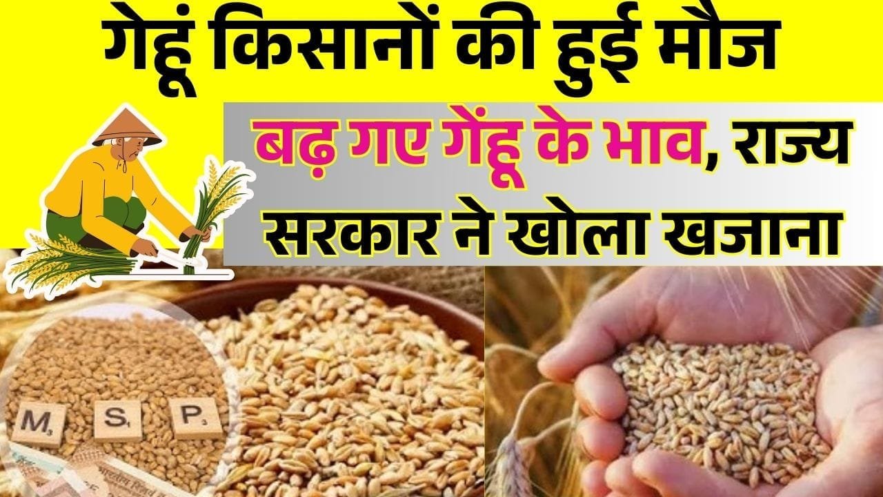 बढ़ गए गेंहू के भाव, इस राज्य सरकार ने खोला खजाना