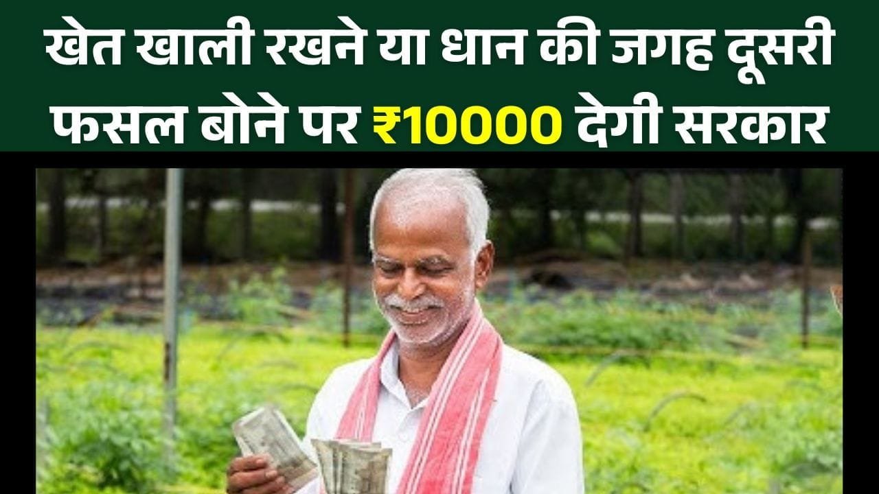 खेत खाली रखने या धान की जगह दूसरी फसल बोने पर ₹10000 देगी सरकार