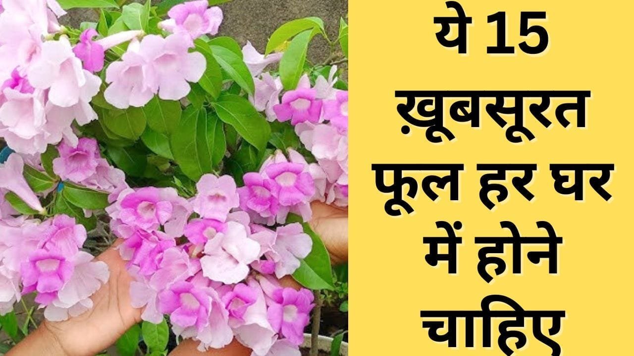 फूलों के नाम