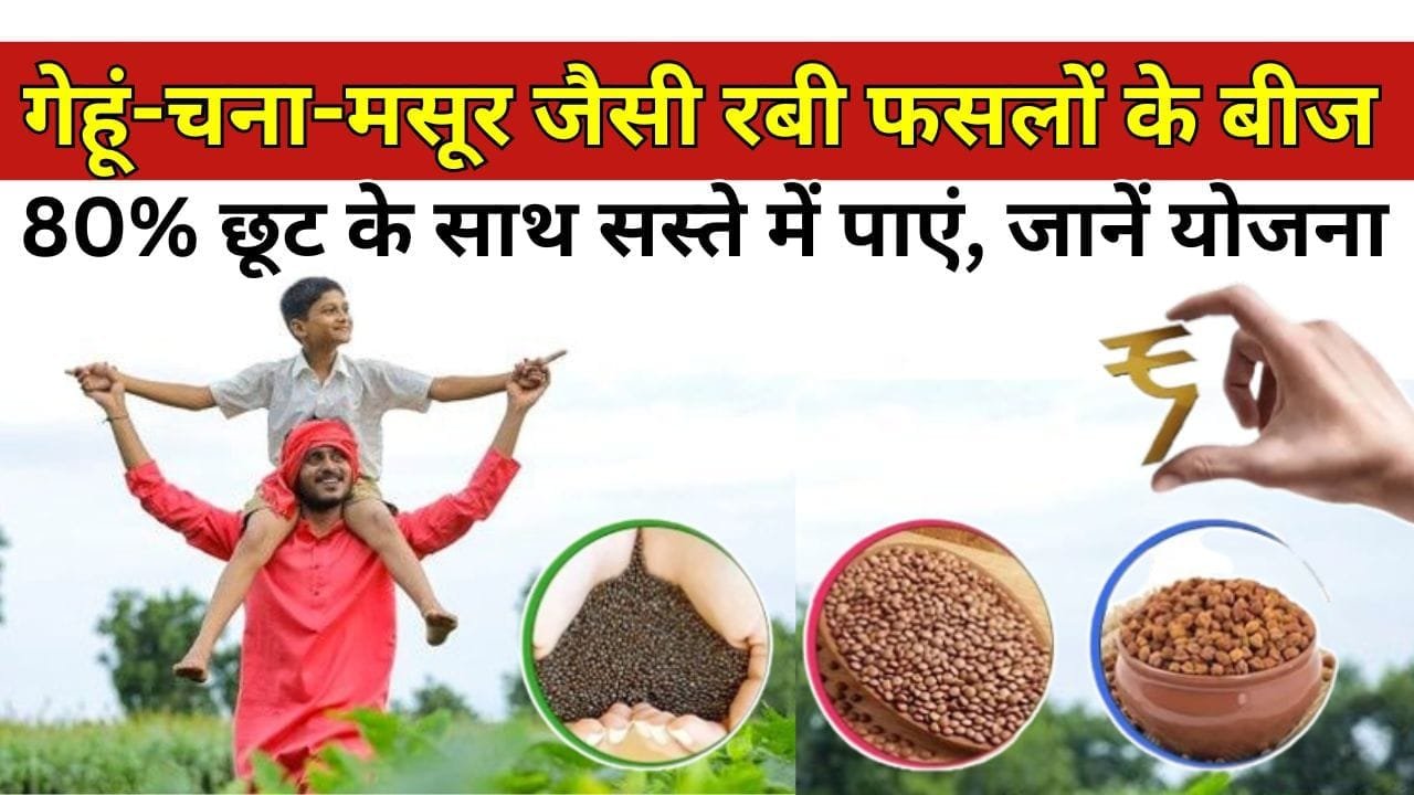 गेहूं-चना-मसूर