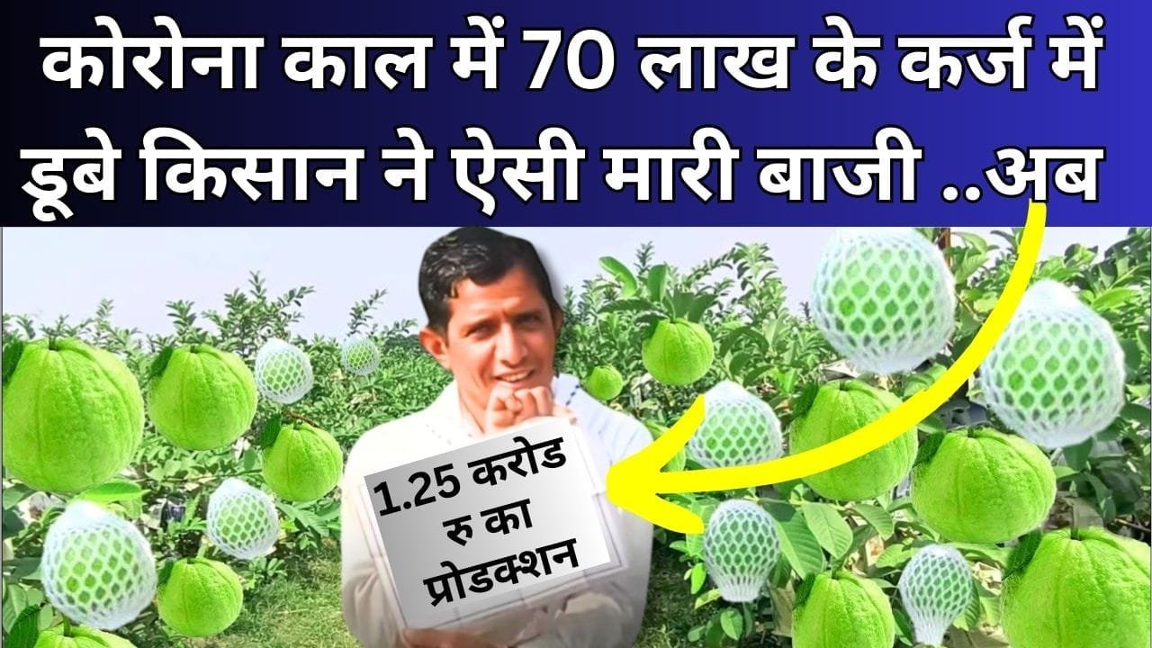 कर्ज में डूबे किसान ने ऐसी मारी बाजी