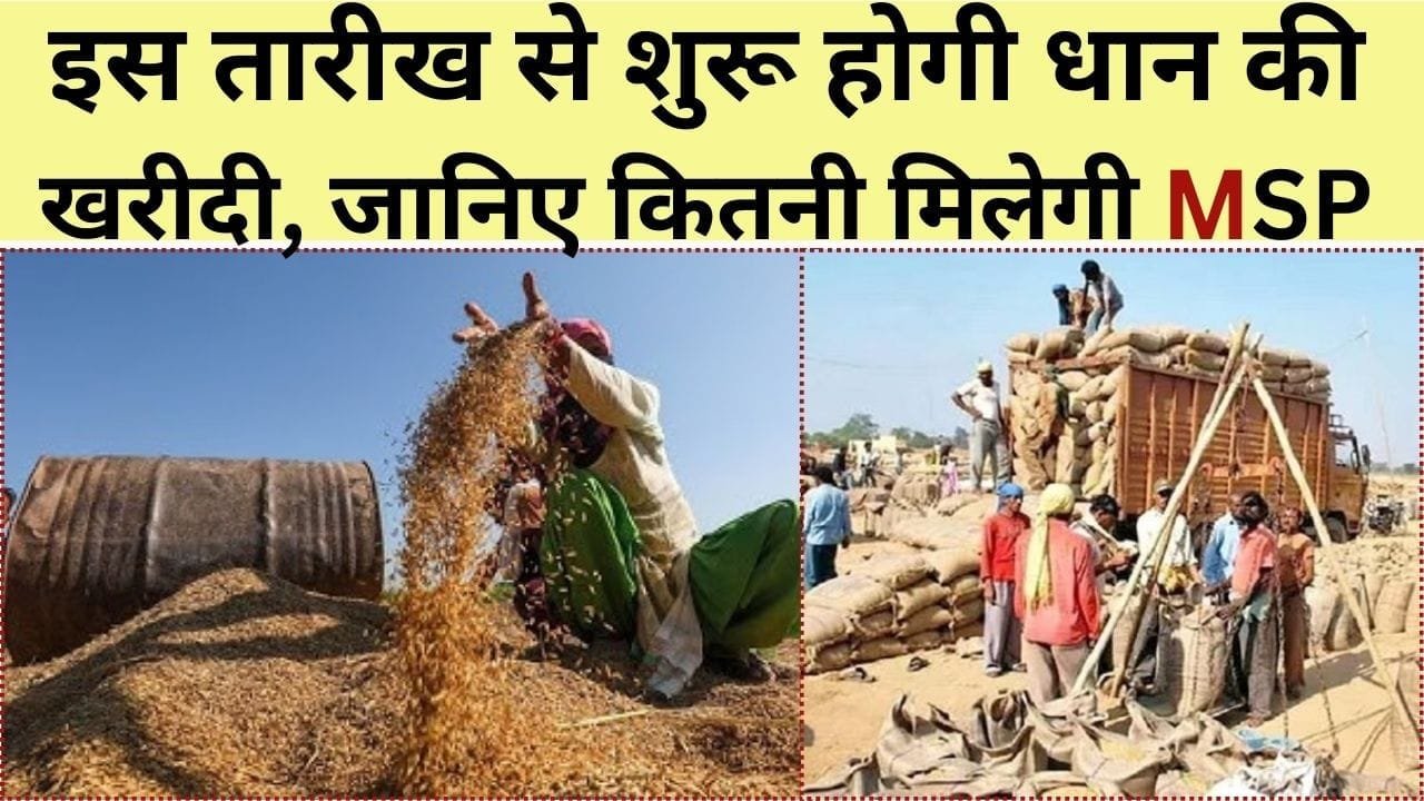 धान की खरीदी