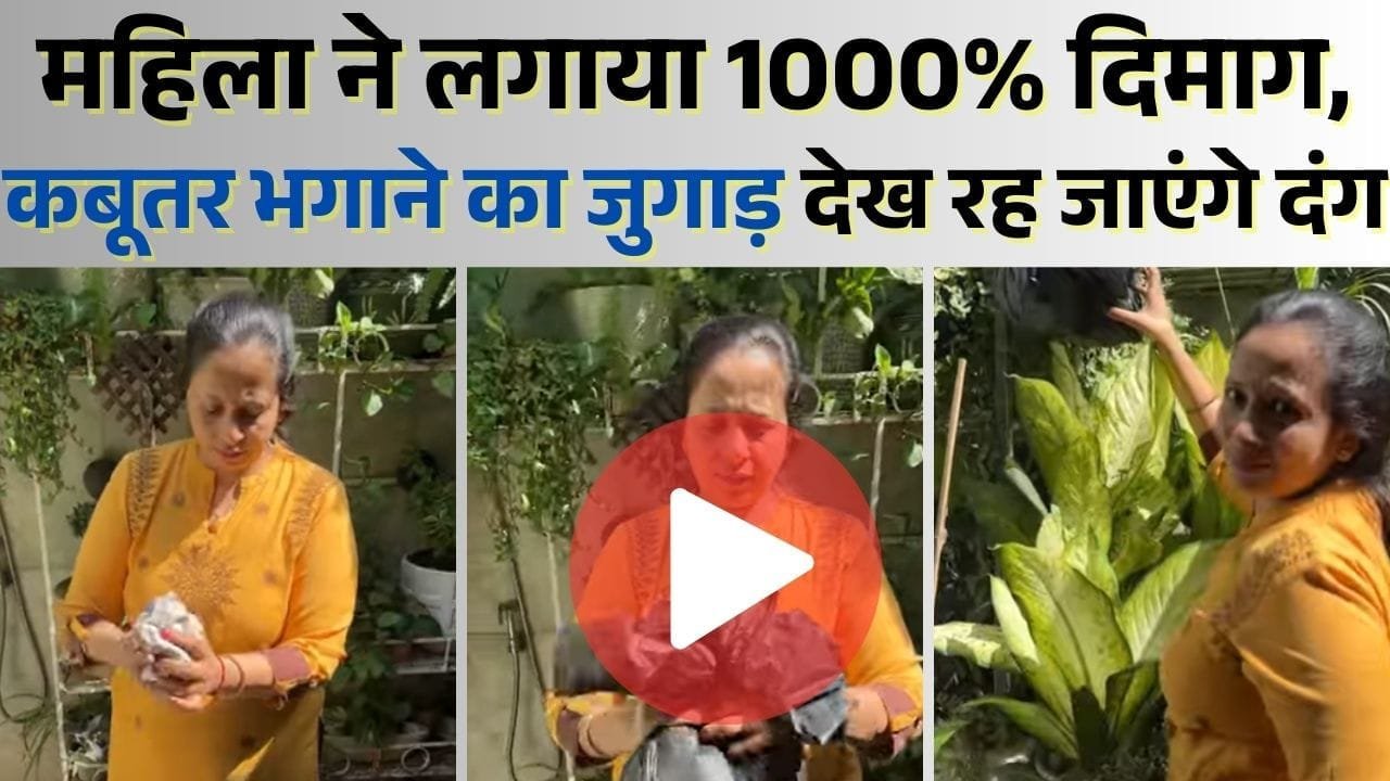 कबूतर भगाने का जुगाड़