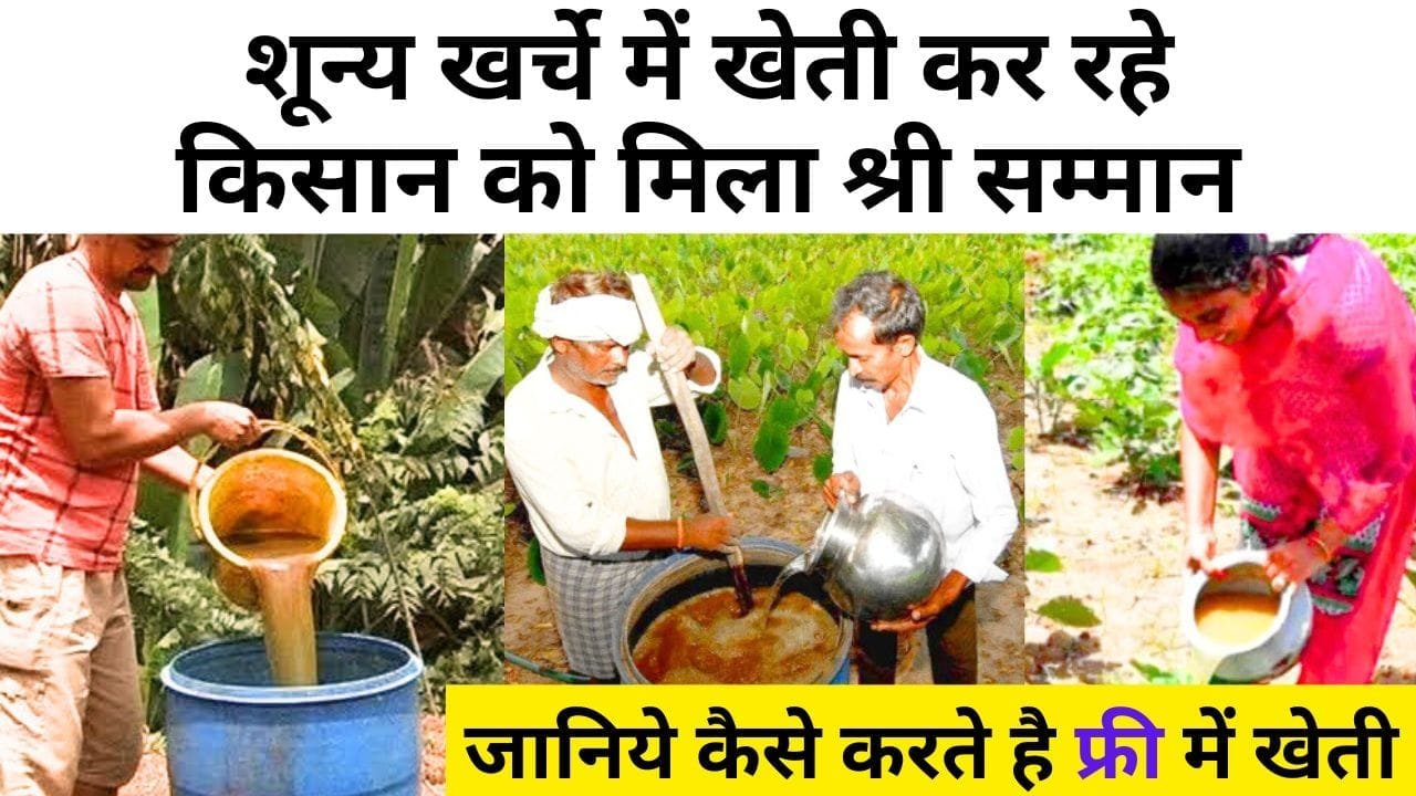 शून्य खर्चे में खेती