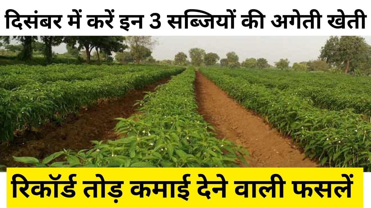 रिकॉर्ड तोड़ कमाई देने वाली फसलें