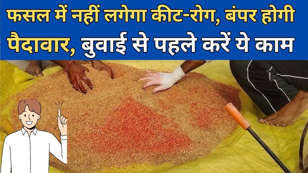 बीज बुवाई से पहले करें एक काम
