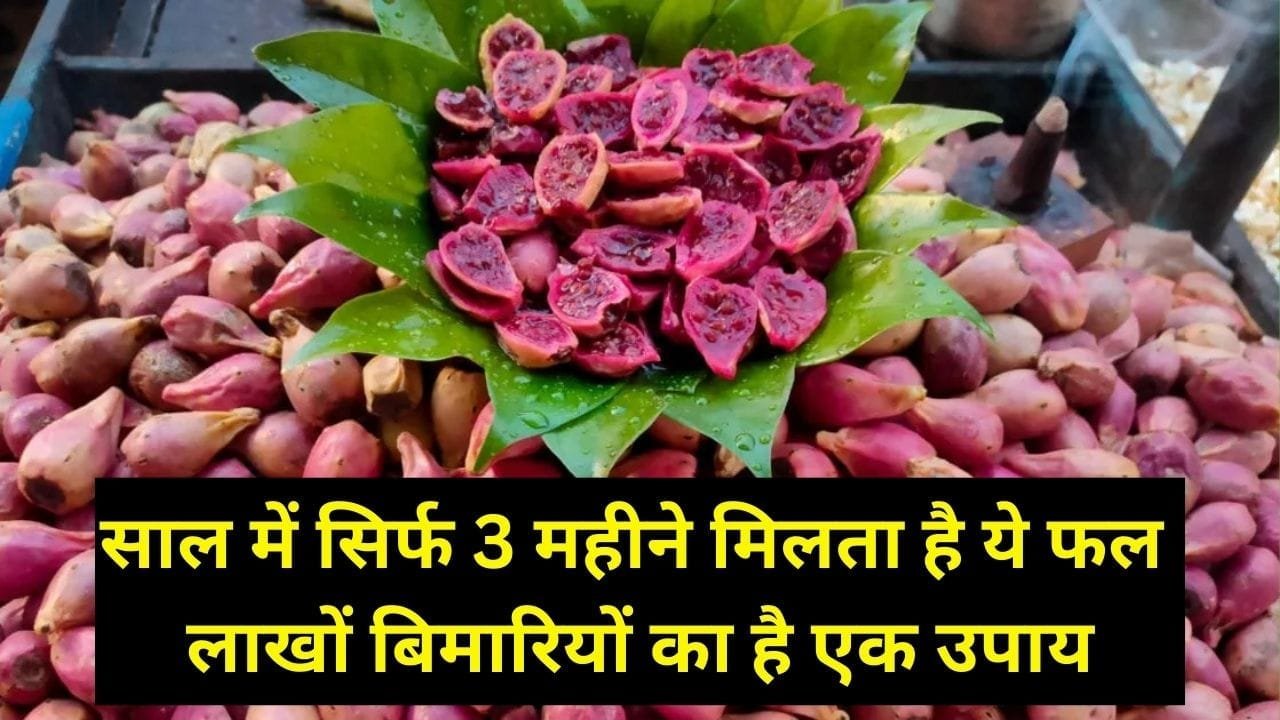 साल में सिर्फ 3 महीने मिलता है ये फल, सेवन से सेहत में मिलते है गजब के चौंका देने वाले फायदे लाखों बिमारियों का है एक उपाय, जाने नाम