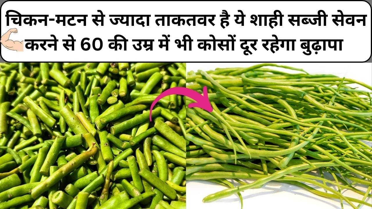 चिकन-मटन से भी ज्यादा ताकतवर है ये शाही सब्जी, सेवन करने से 60 की उम्र में भी कोसों दूर रहेगा बुढ़ापा आएगी फौलादी ताकत, जाने नाम