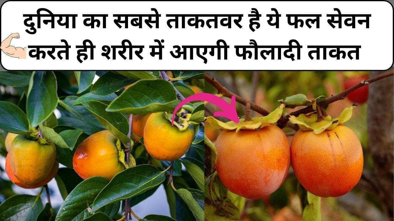 दुनिया का सबसे ताकतवर है ये फल, सेवन करते ही शरीर में आएगी फौलादी ताकत खेती से होगी जीवन भर कमाई, जाने नाम और काम