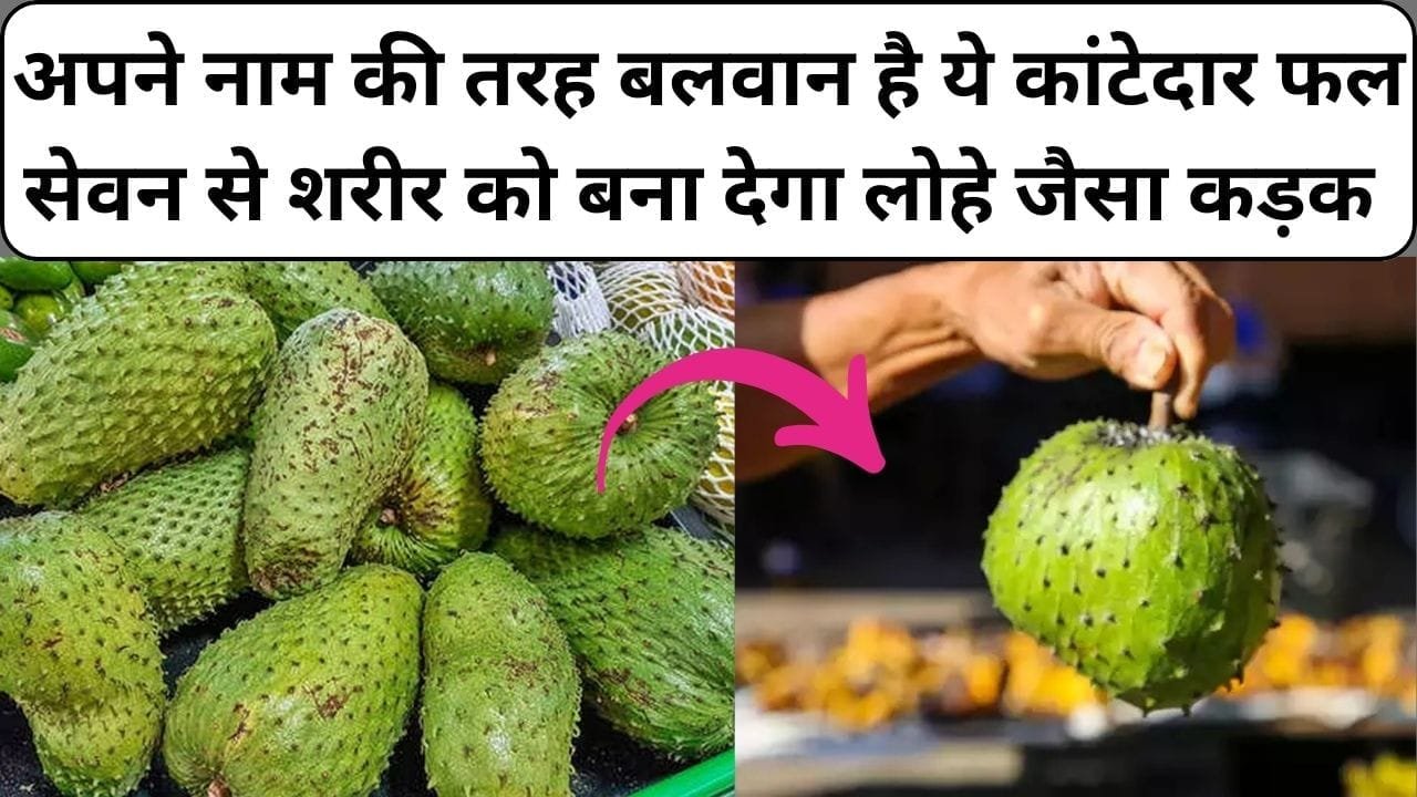 अपने नाम की तरह बलवान है ये कांटेदार फल, सेवन से शरीर को बना देगा लोहे जैसा कड़क घर बैठे खेती से होगा लाखों का मुनाफा, जाने नाम