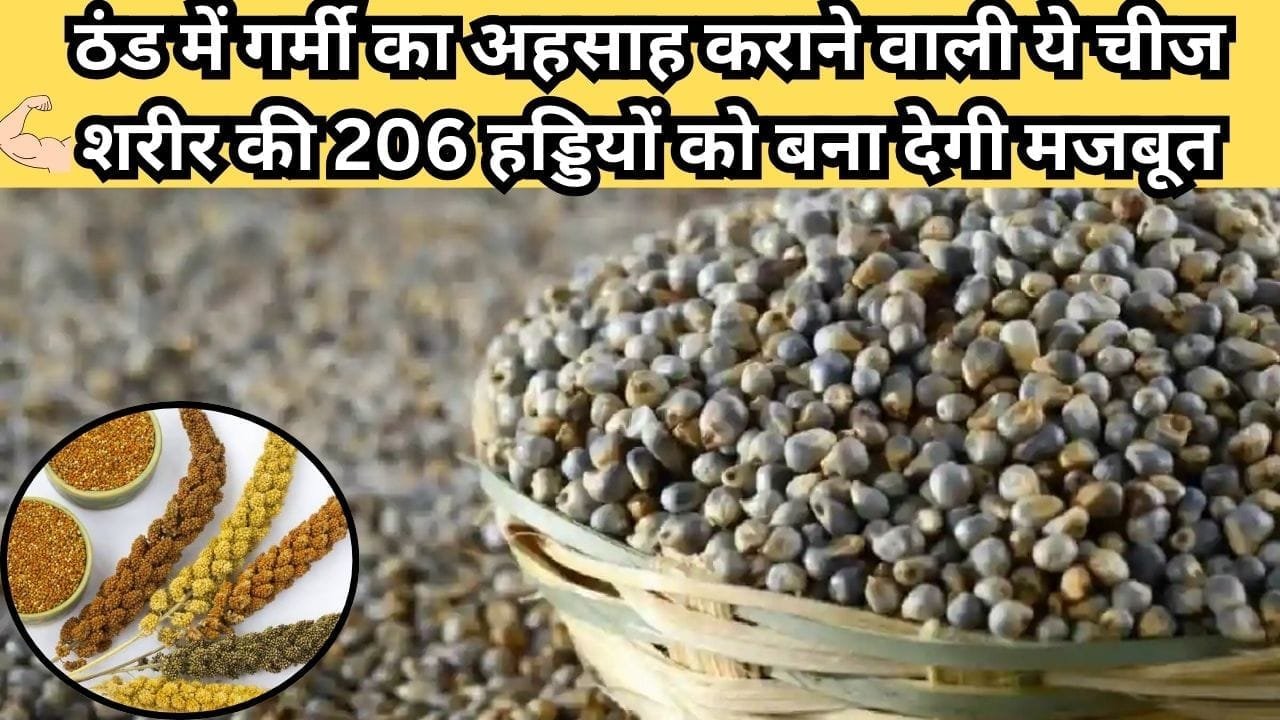 ठंड में गर्मी का अहसाह कराने वाली ये चीज शरीर की 206 हड्डियों को बना देगी मजबूत, मार्केट में है खूब डिमांड, जाने नाम और काम