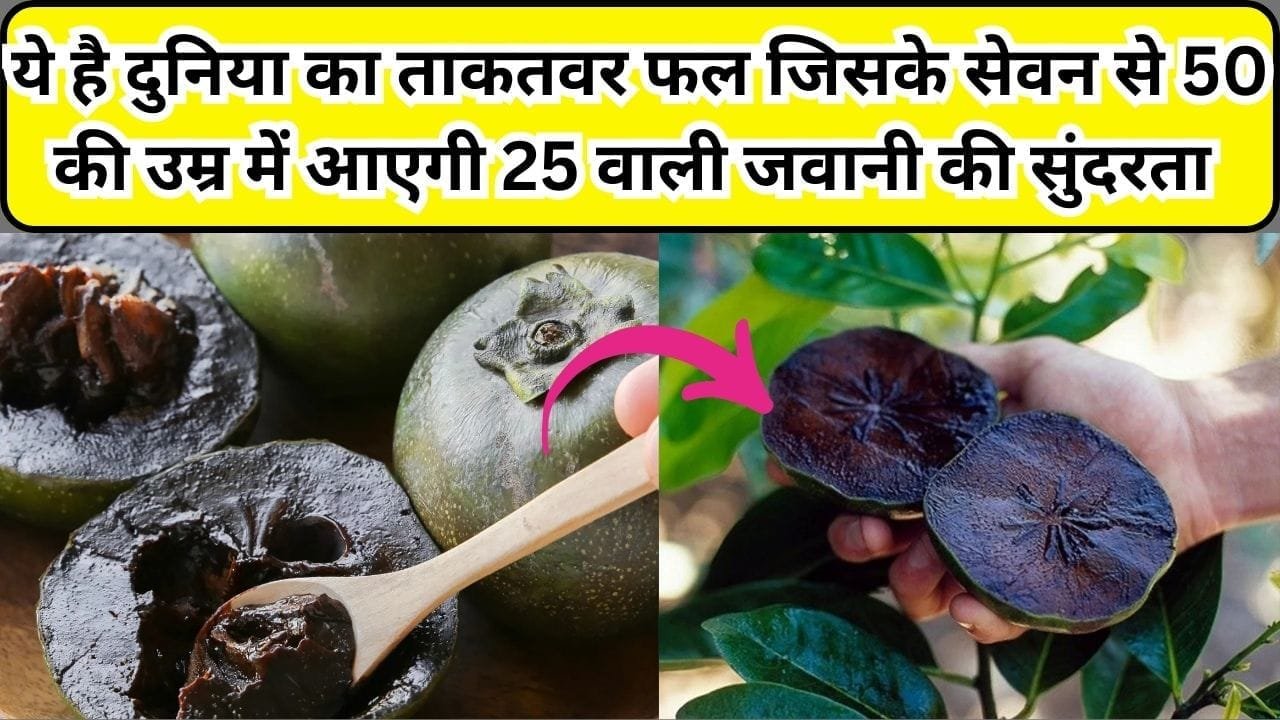 ये है दुनिया का अनोखा ताकतवर फल, जिसके सेवन से 50 की उम्र में आएगी 25 वाली जवानी की सुंदरता साल में सिर्फ कुछ महीने ही आता है नजर, जाने नाम