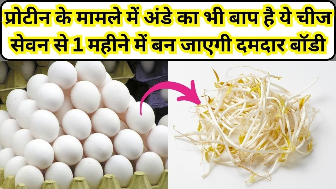 प्रोटीन के मामले में अंडे का भी बाप है ये चीज, सेवन से 1 महीने में बन जाएगी दमदार बॉडी, जाने नाम और काम
