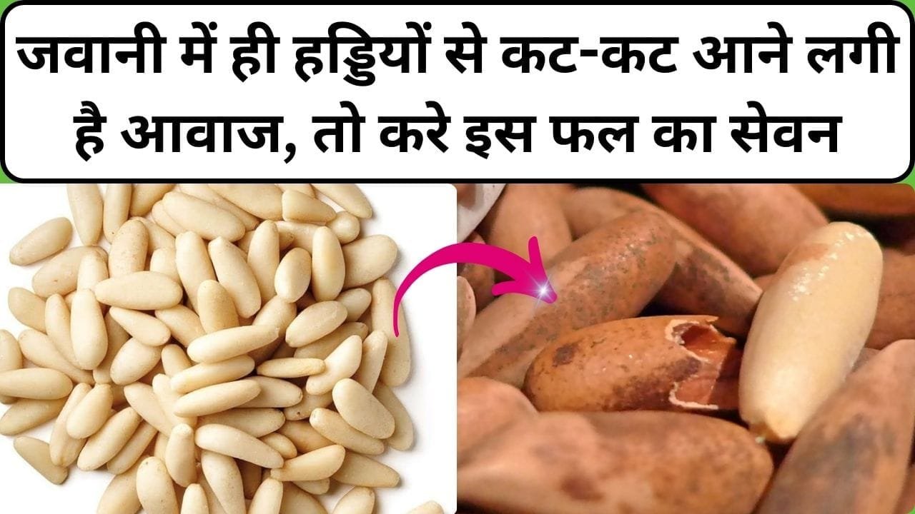 जवानी में ही हड्डियों से कट-कट आने लगी है आवाज, तो करे इस फल का सेवन शरीर की 206 हड्डियों को बना देगा लोहे जैसा कड़क, जाने नाम